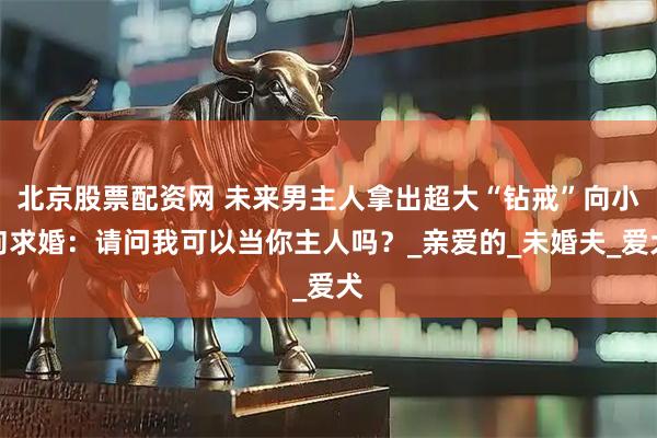 北京股票配资网 未来男主人拿出超大“钻戒”向小狗求婚：请问我可以当你主人吗？_亲爱的_未婚夫_爱犬
