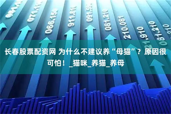 长春股票配资网 为什么不建议养“母猫”？原因很可怕！_猫咪_养猫_养母