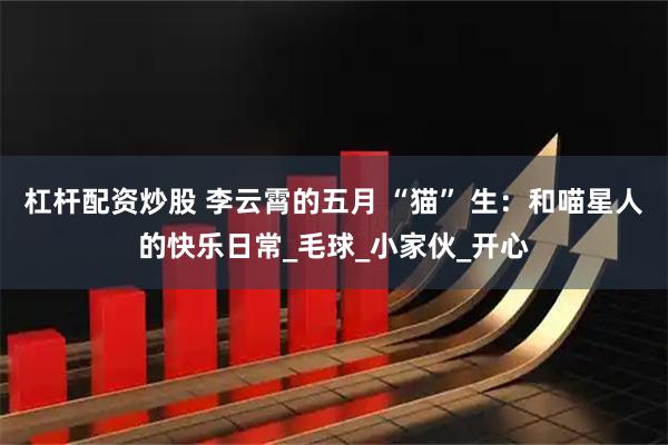 杠杆配资炒股 李云霄的五月 “猫” 生：和喵星人的快乐日常_毛球_小家伙_开心