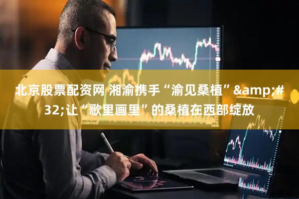 北京股票配资网 湘渝携手“渝见桑植”&#32;让“歌里画里”的桑植在西部绽放