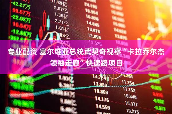 专业配资 塞尔维亚总统武契奇视察“卡拉乔尔杰领袖走廊”快速路项目